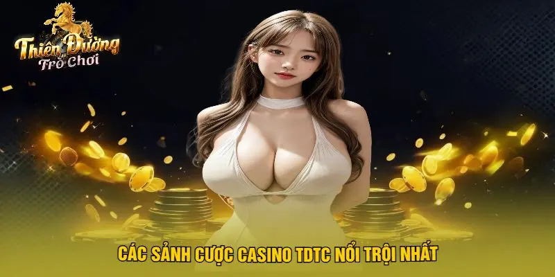 Các Sảnh Cược Casino TDTC Nổi Trội Nhất