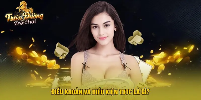 Điều Khoản Và Điều Kiện TDTC Là Gì?
