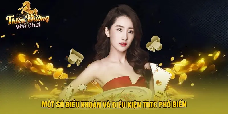 Một Số Điều Khoản Và Điều Kiện TDTC Phổ Biến