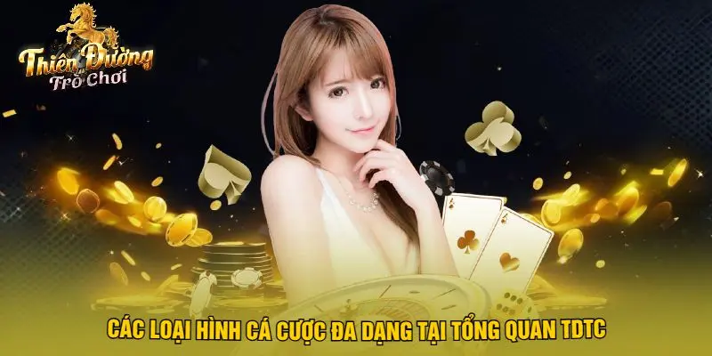 Các Loại Hình Cá Cược Đa Dạng Tại Tổng Quan TDTC