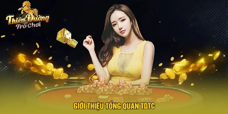 Giới Thiệu Tổng Quan TDTC